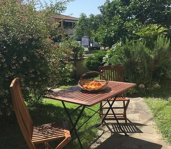 Il Girasole Marti